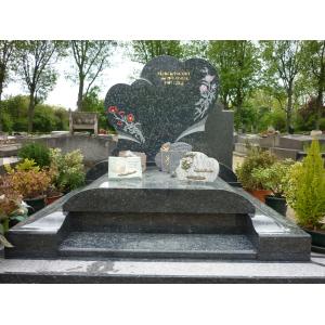 Granit poli - Bagneux parisien (92)